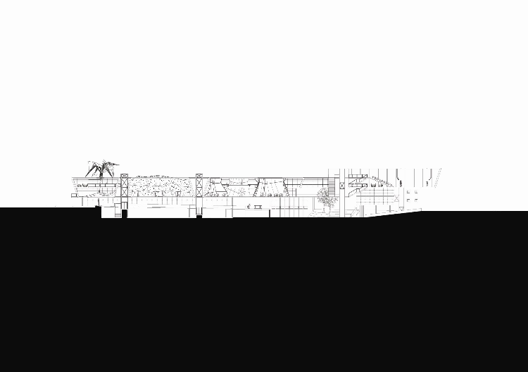 בית ספר בעיר העתיקה - באר שבע - תחרות אדריכלים - תואר כבוד