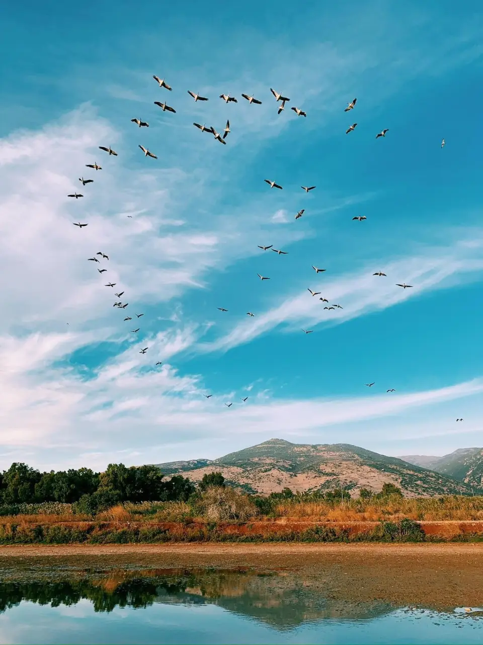 הנוף באיזור