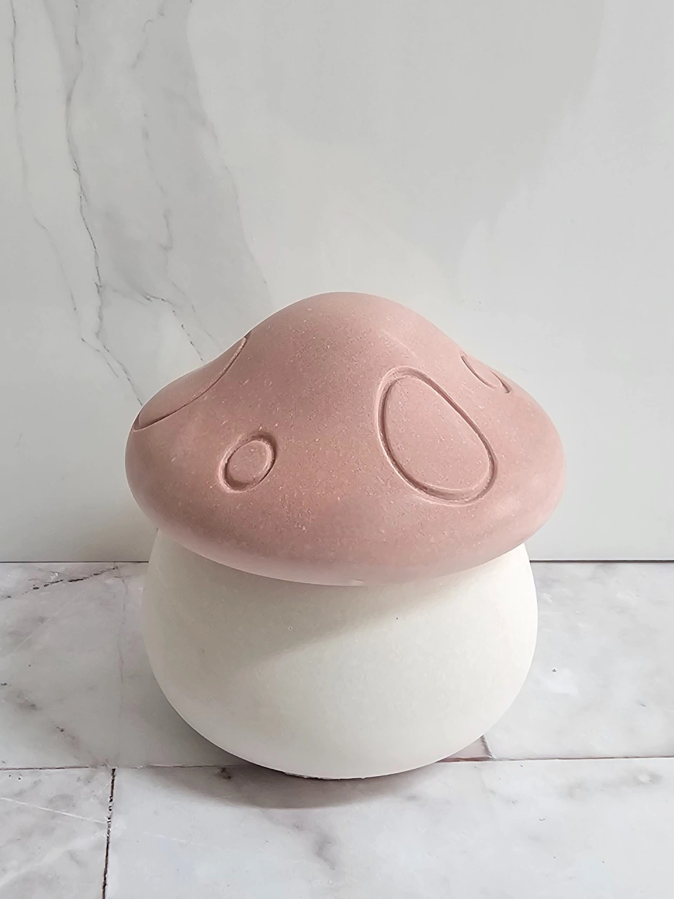 קופסת פטריה