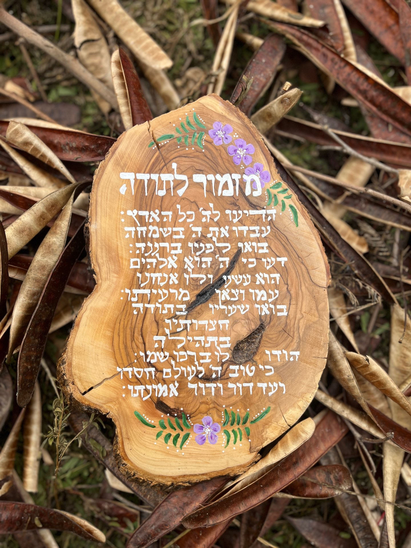 מזמור לתודה- במלאי