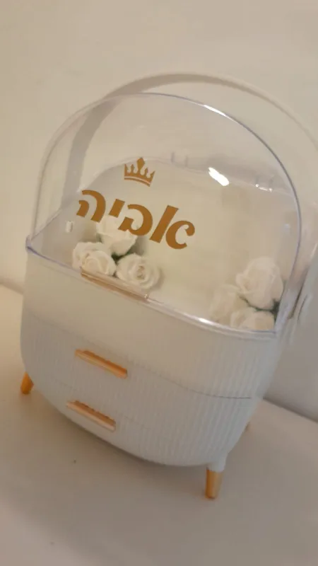 ארגונית איפור מושלמת🫶