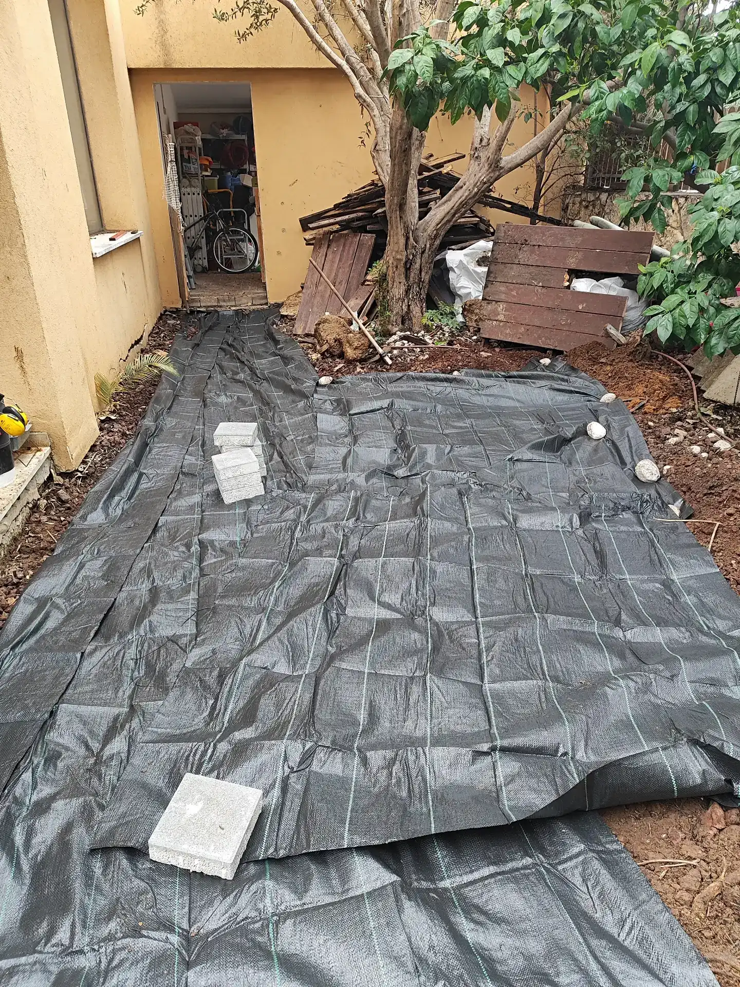 דק אורן/איפאה טבקו/במבוק/טיק בורמזי/סינטטי - החל מ420 ₪ למ"ר