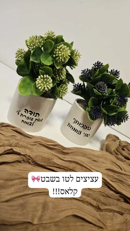 עציצים לטו בשבט