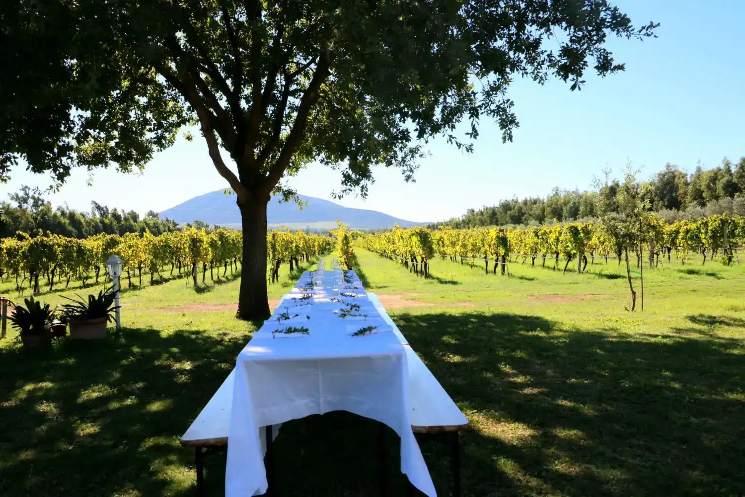 אירועים קטנים עד 20 איש