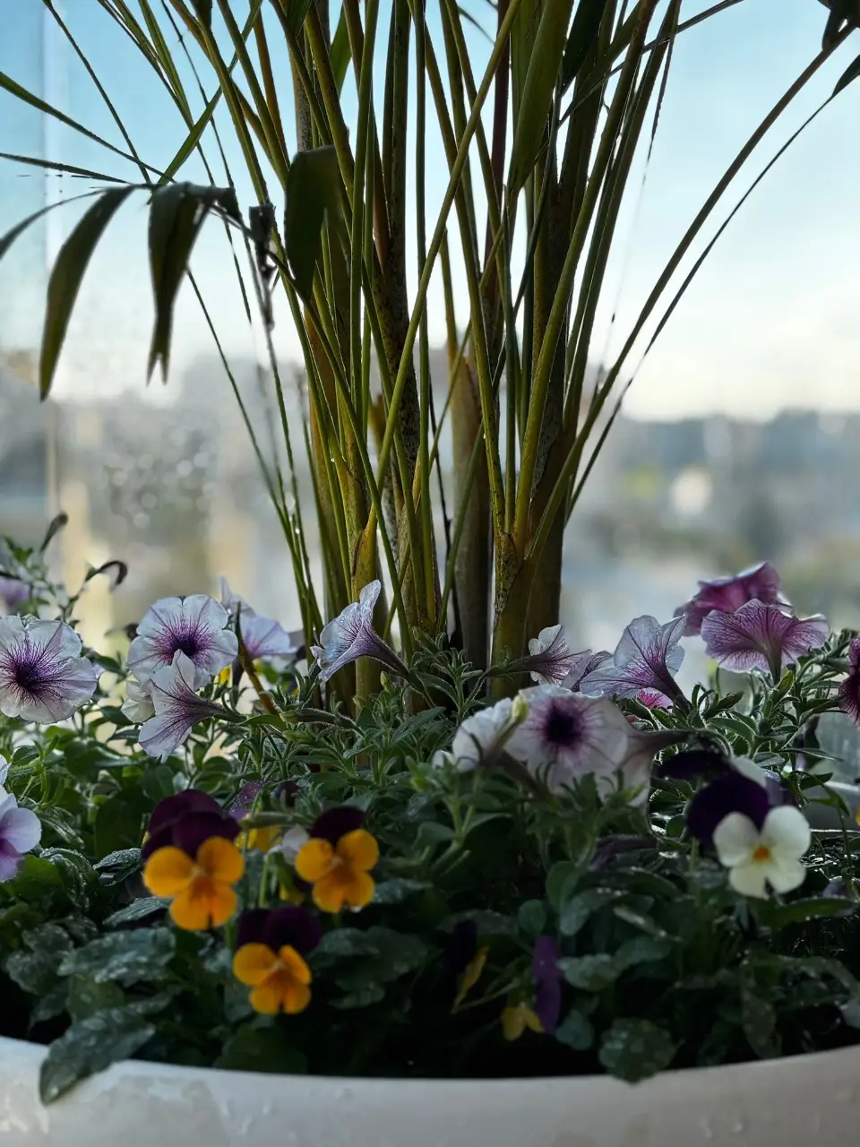 עיצוב הנוף והגינה במספר רב של אלמנטים