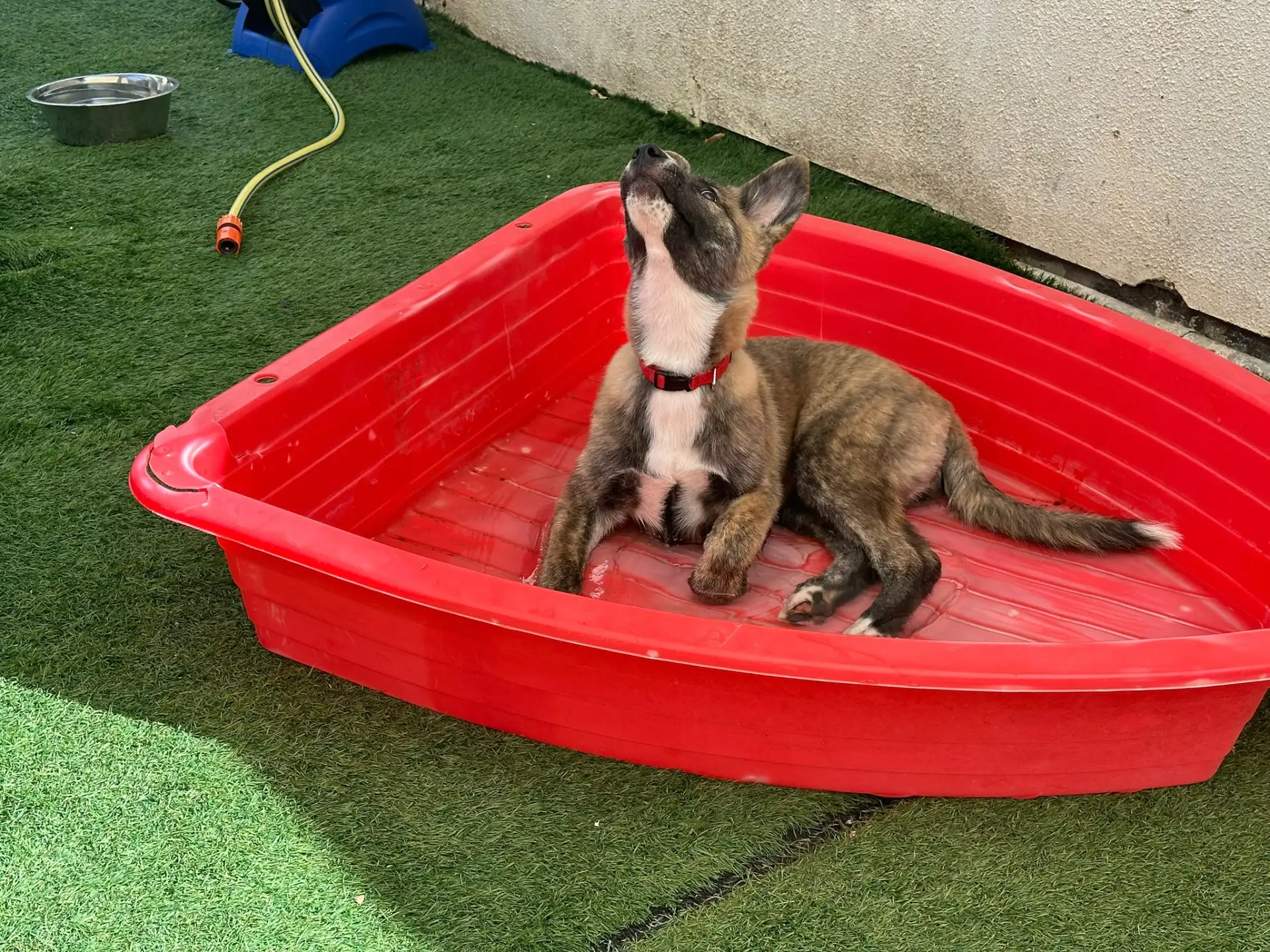 פנסיון שהות