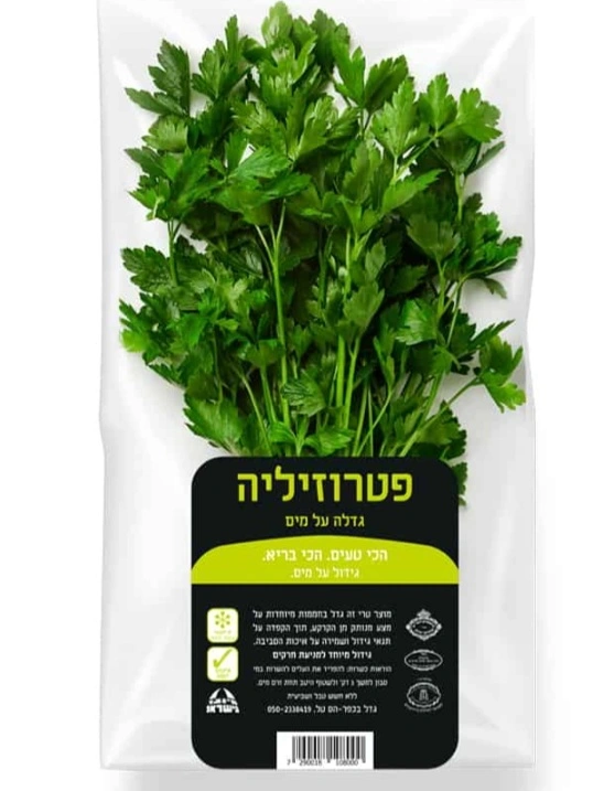 פטרוזיליה