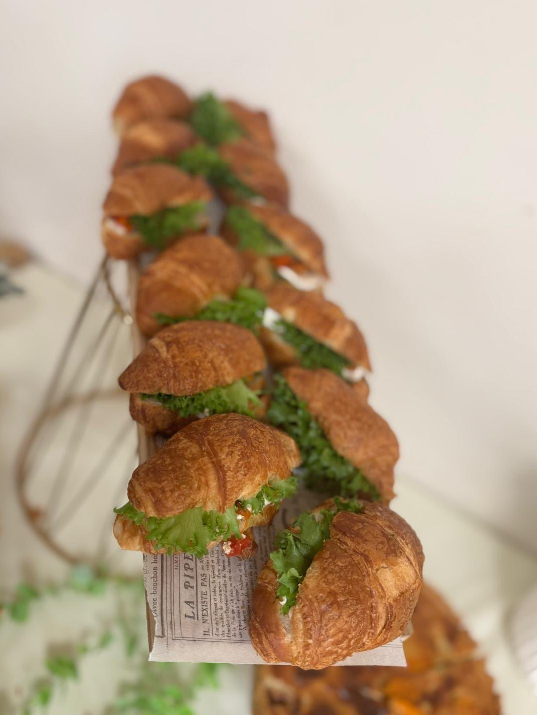 קרואסון פטה