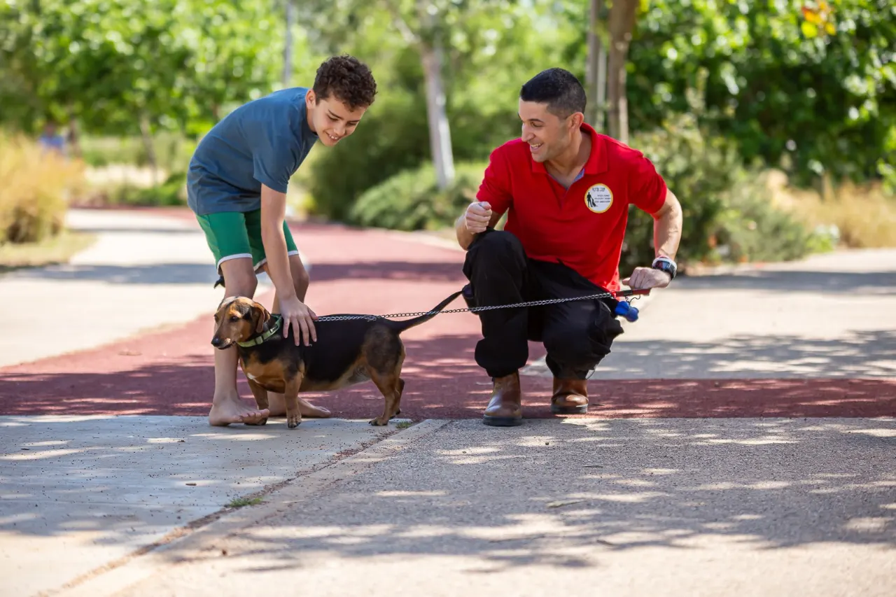 טיפים חשובים לגידול גור כלבים בצורה נכונה