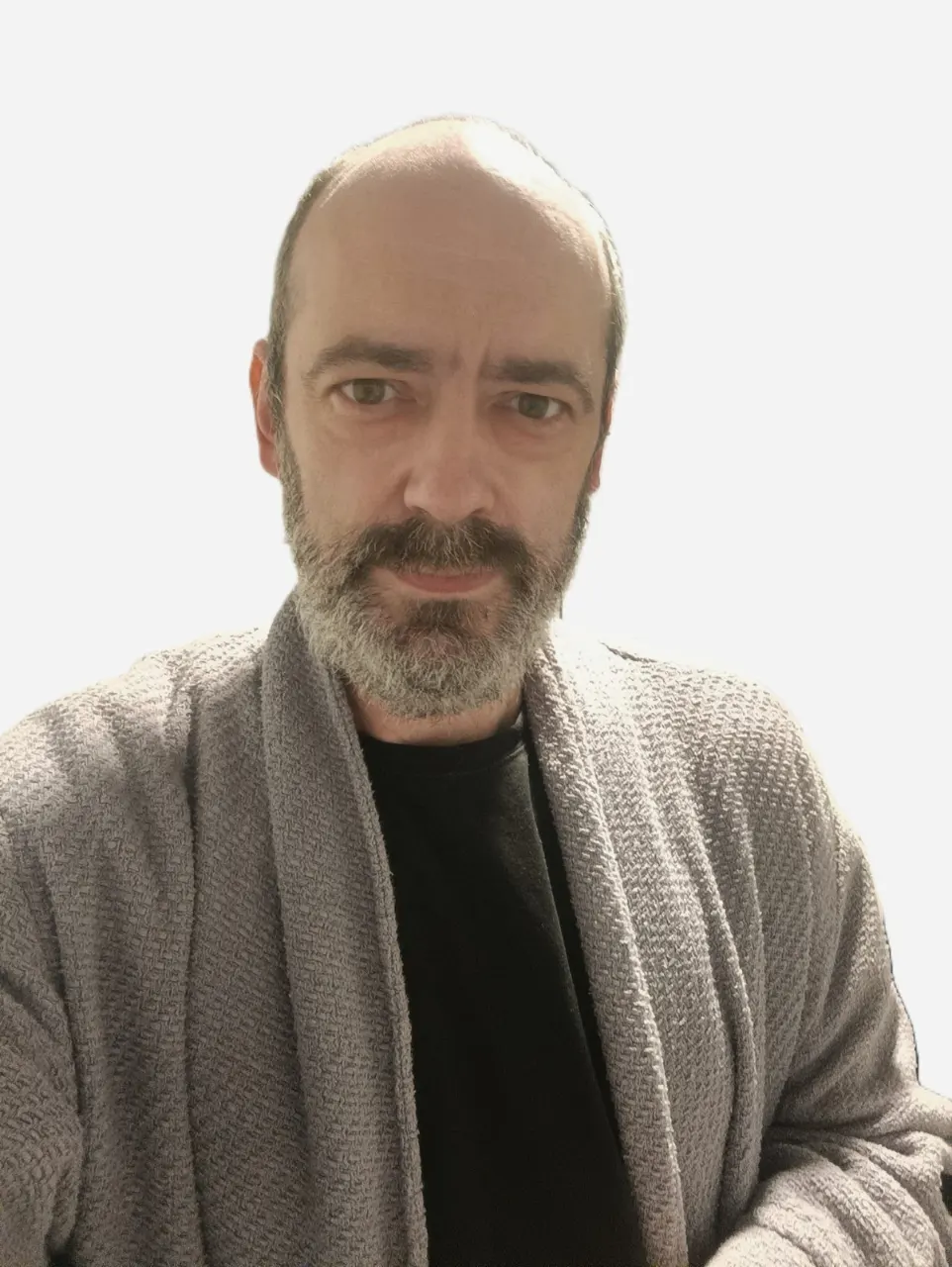 מיכאל לרנר