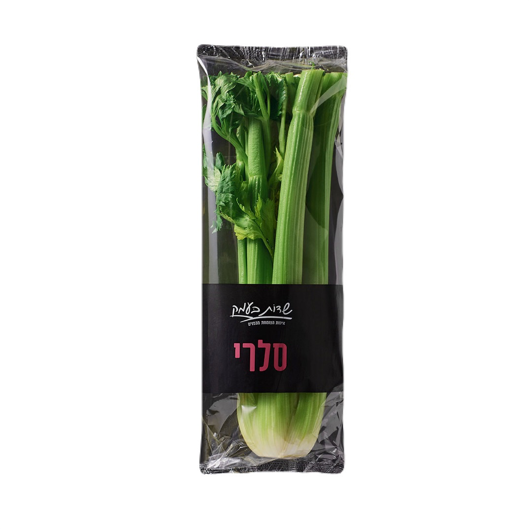 סלרי - שדות בעמק