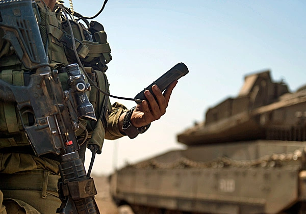 ההיבט הביטחוני מקצועי