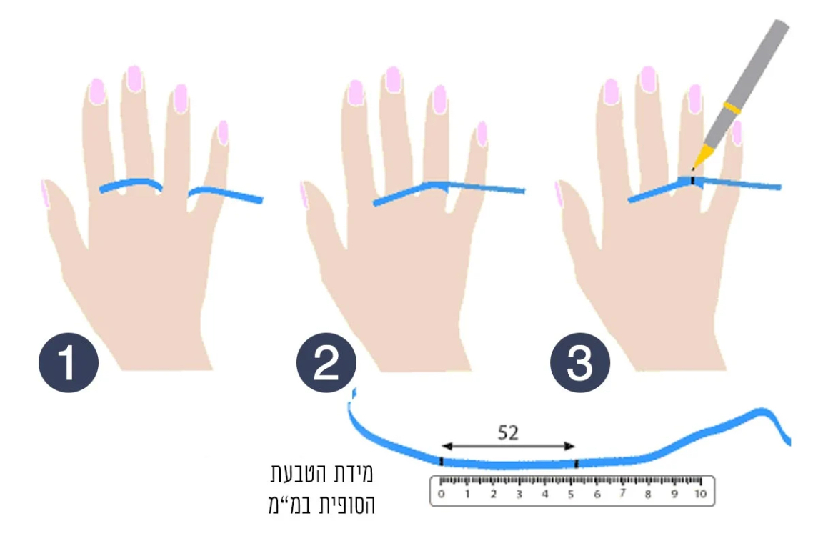 מדריך טבעת