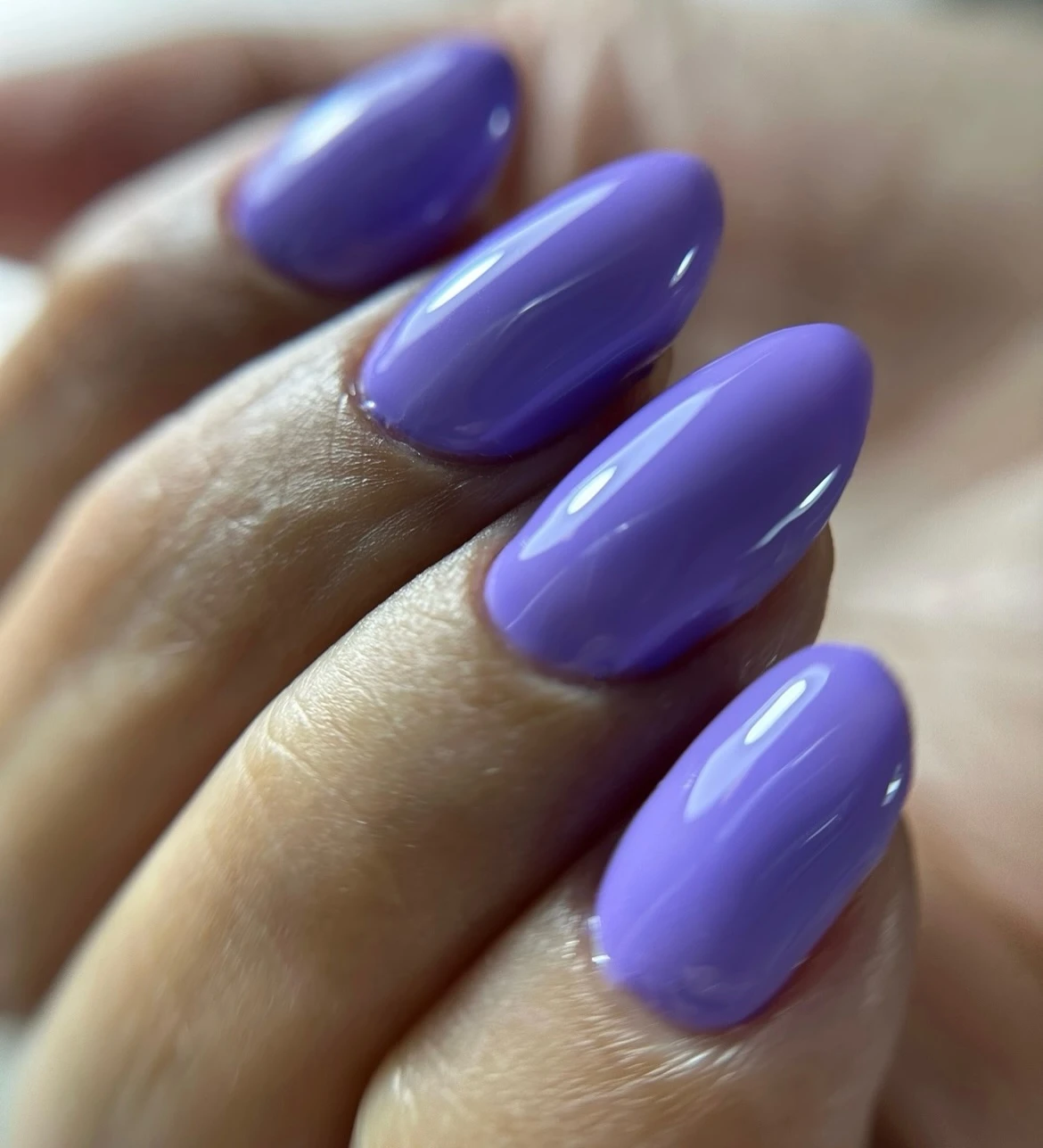 בנייה חדשה בטיפס ג'ל