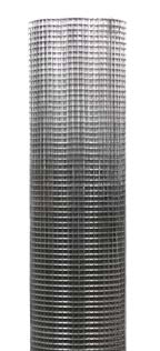 רשת תוכי מגולוון בגליל