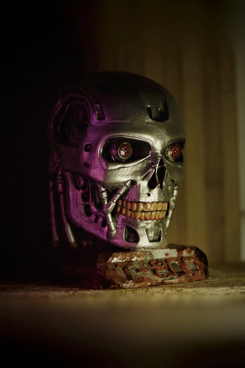 T800- פסל גולגולת המחסל