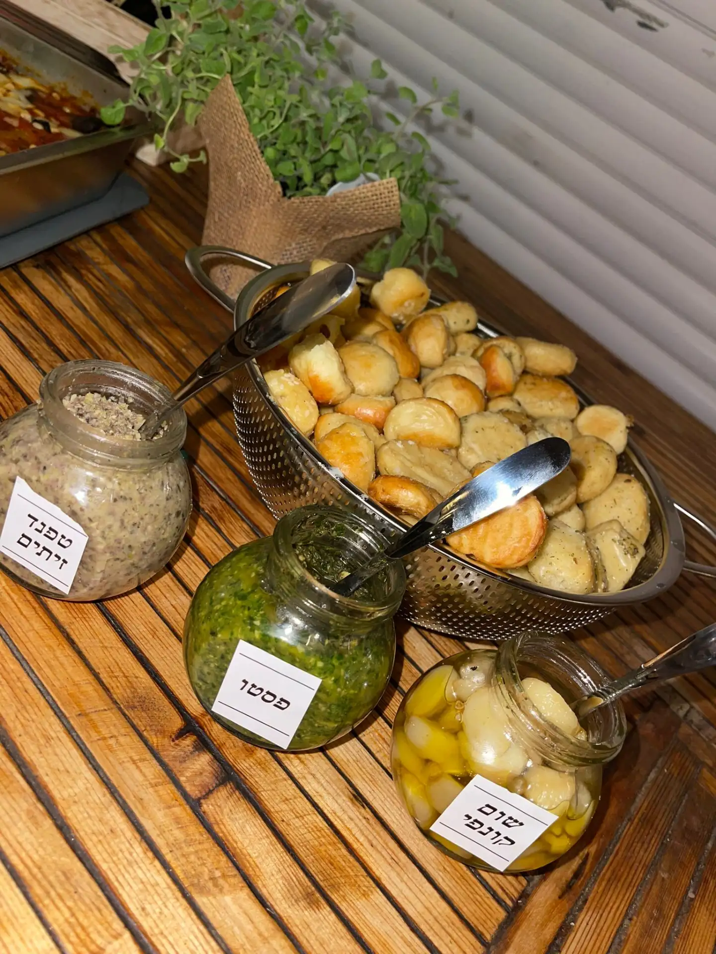 מגוון מנות חלביות