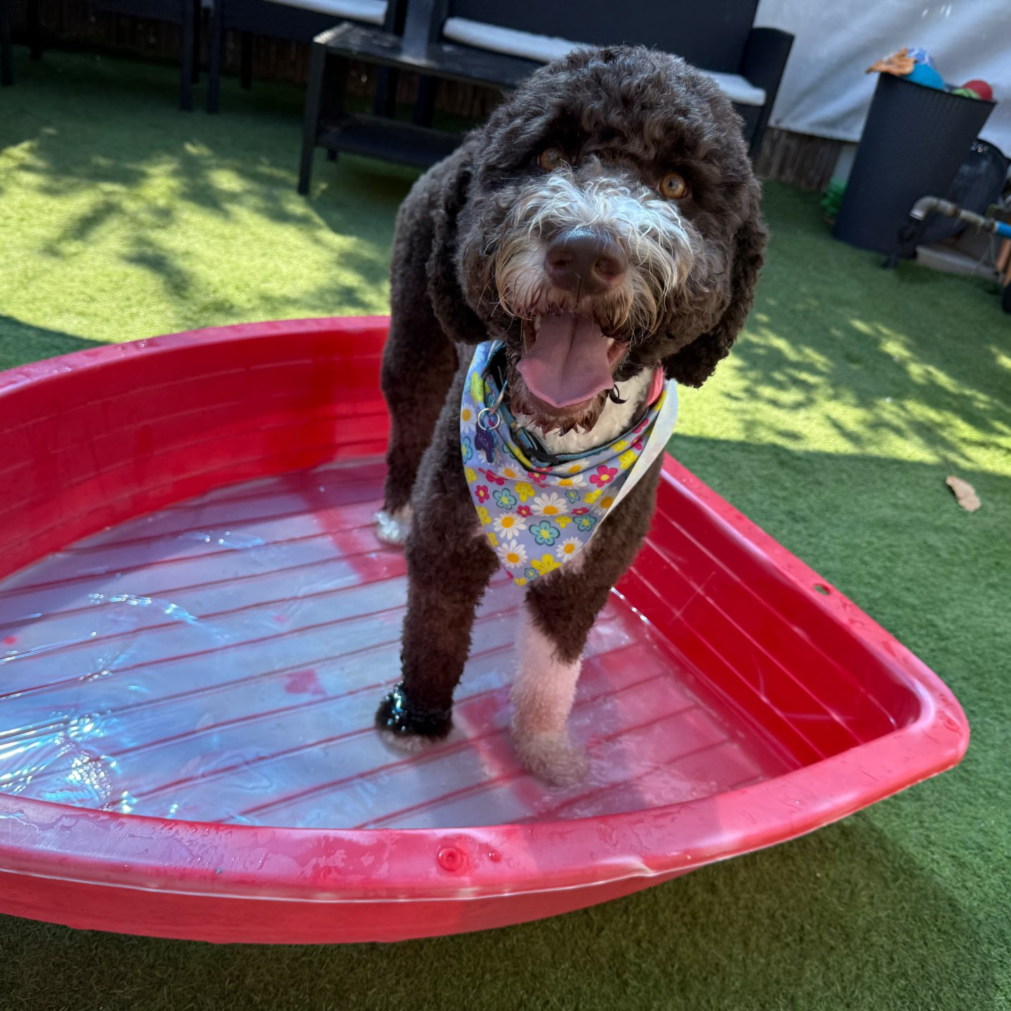 פנסיון שהות