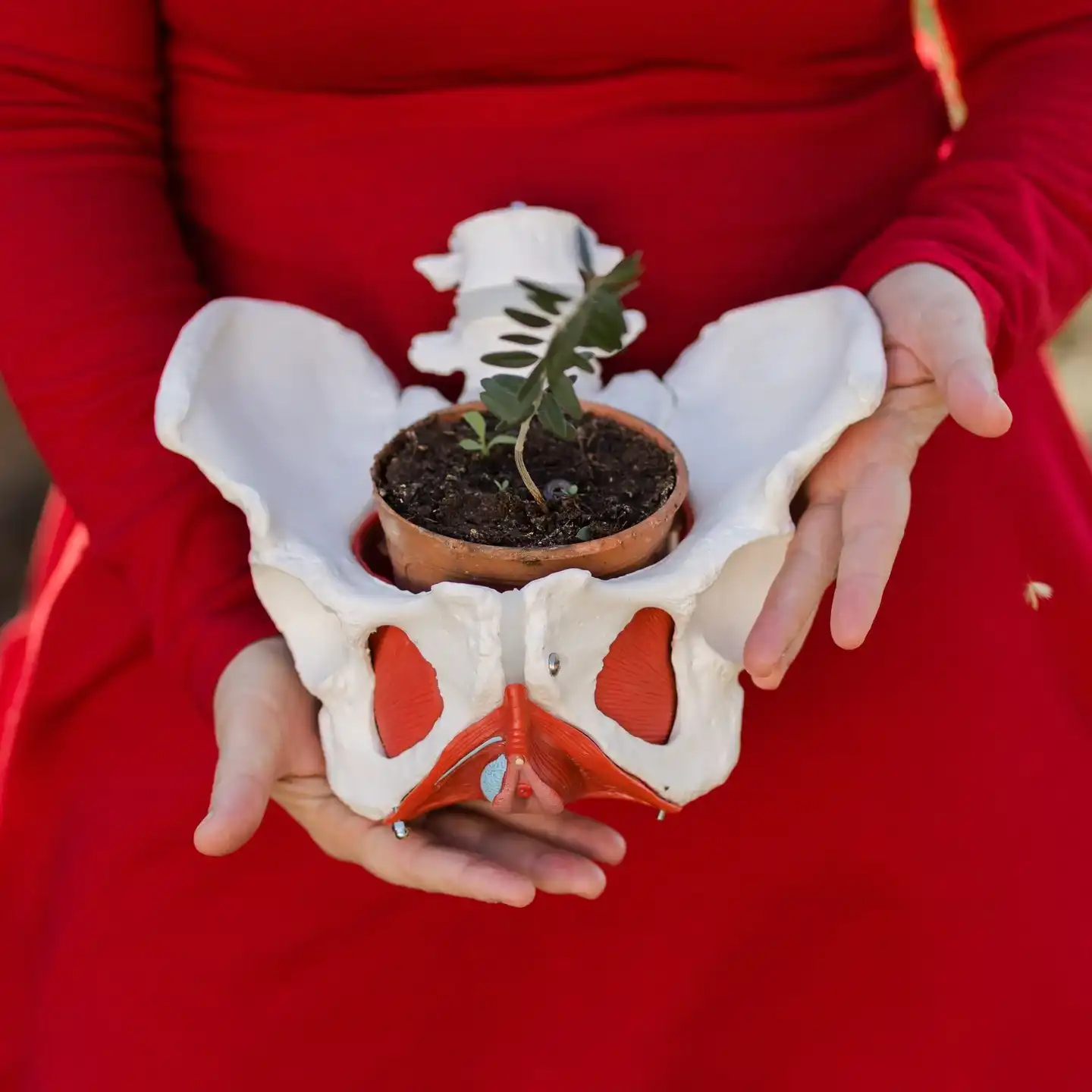 סדנאות שער הרחם – עץ החיים