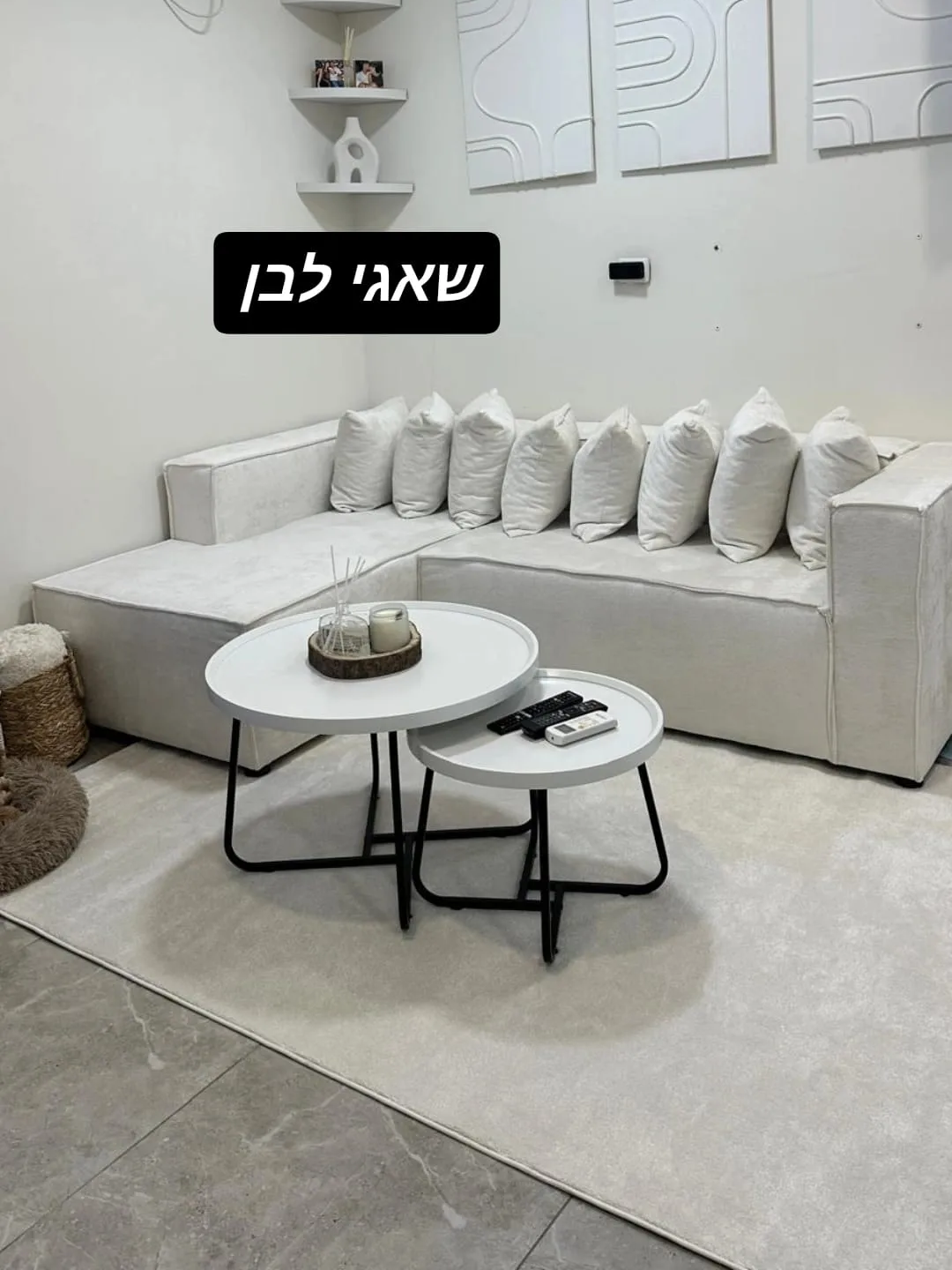 שאגי לבן 2*3