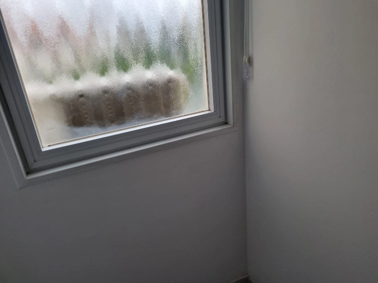 טיפול בבעיות רטיבות