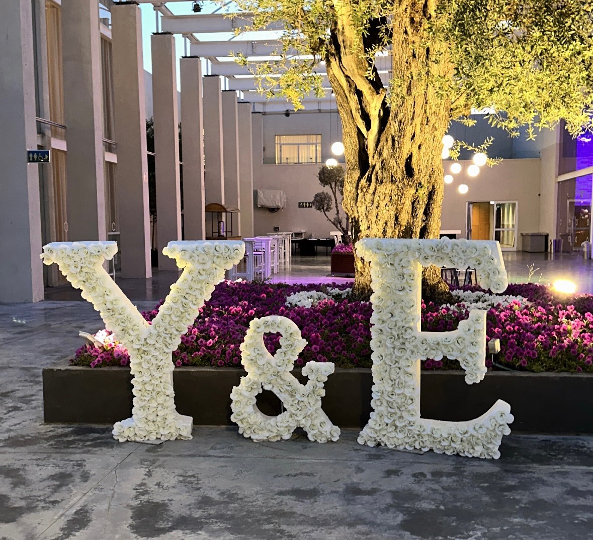 אותיות פרחים