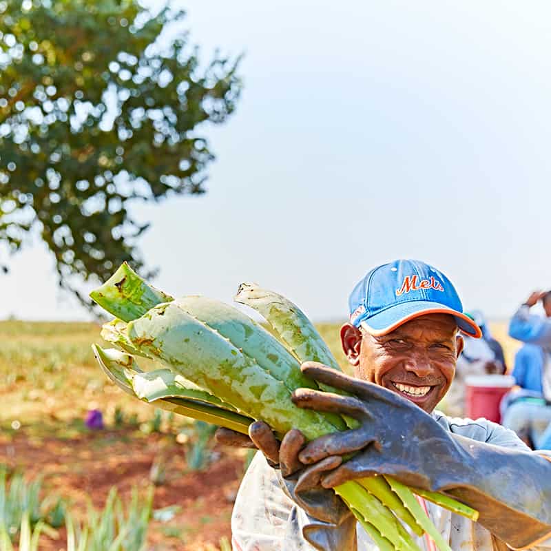 האנשים שגורמים לזה לקרות