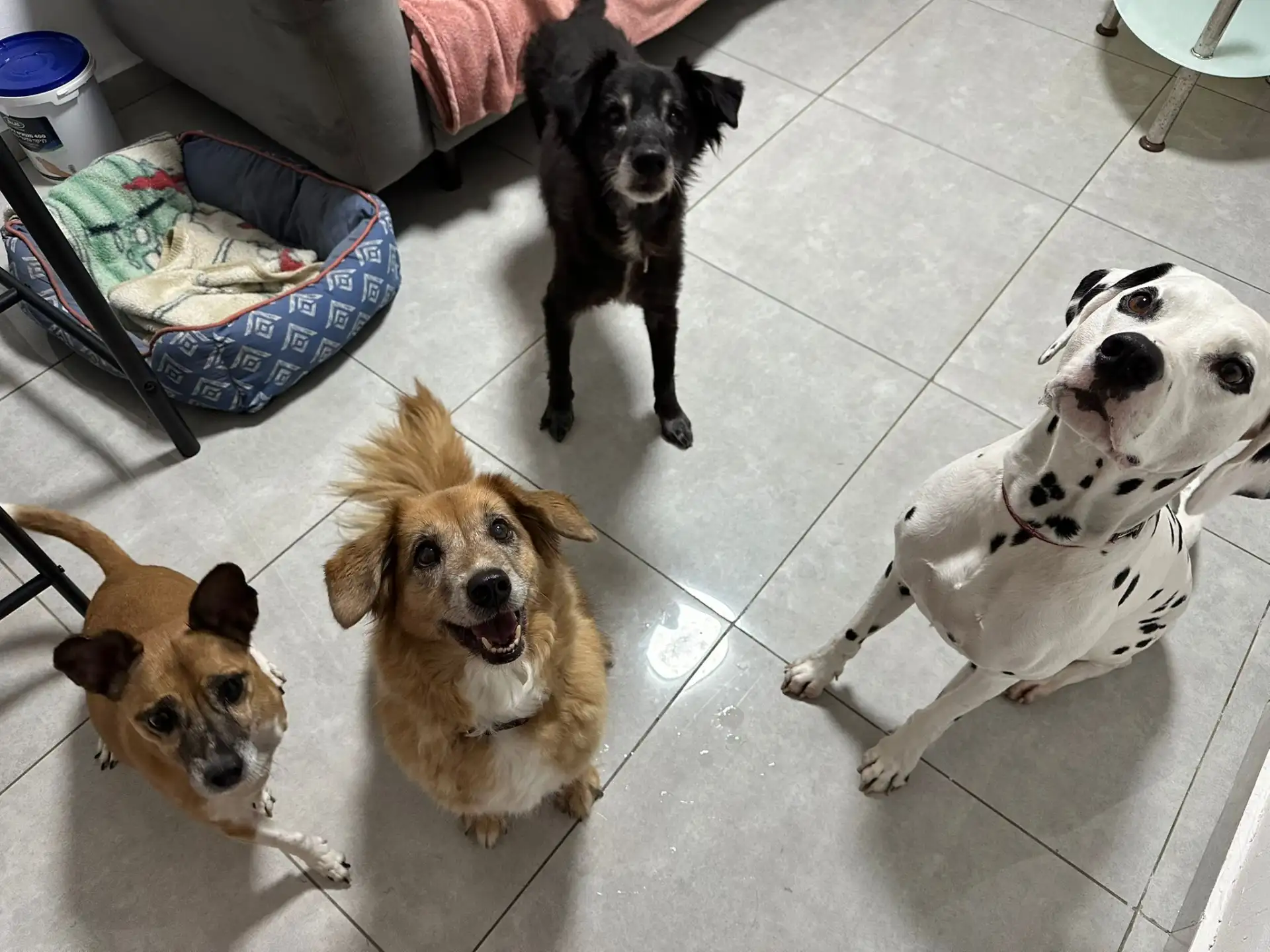 פנסיון שהות