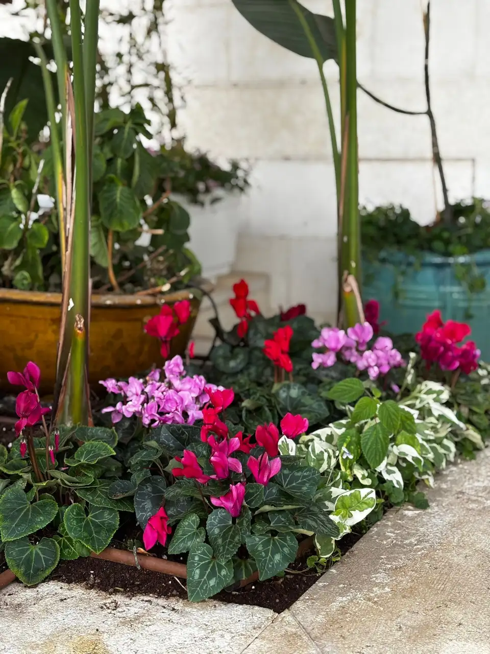 פתרונות השקיה