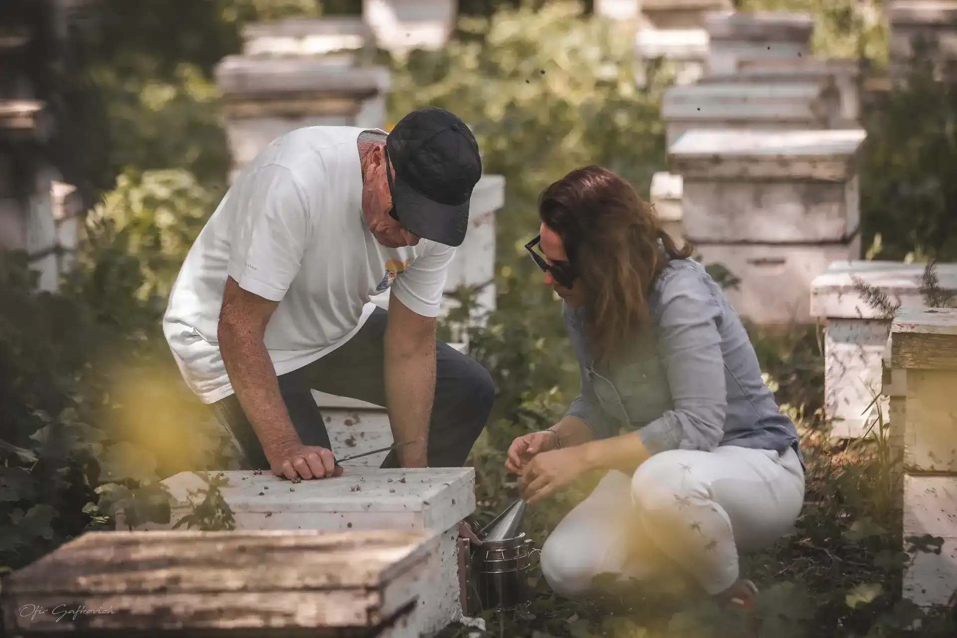עובדים בשטח