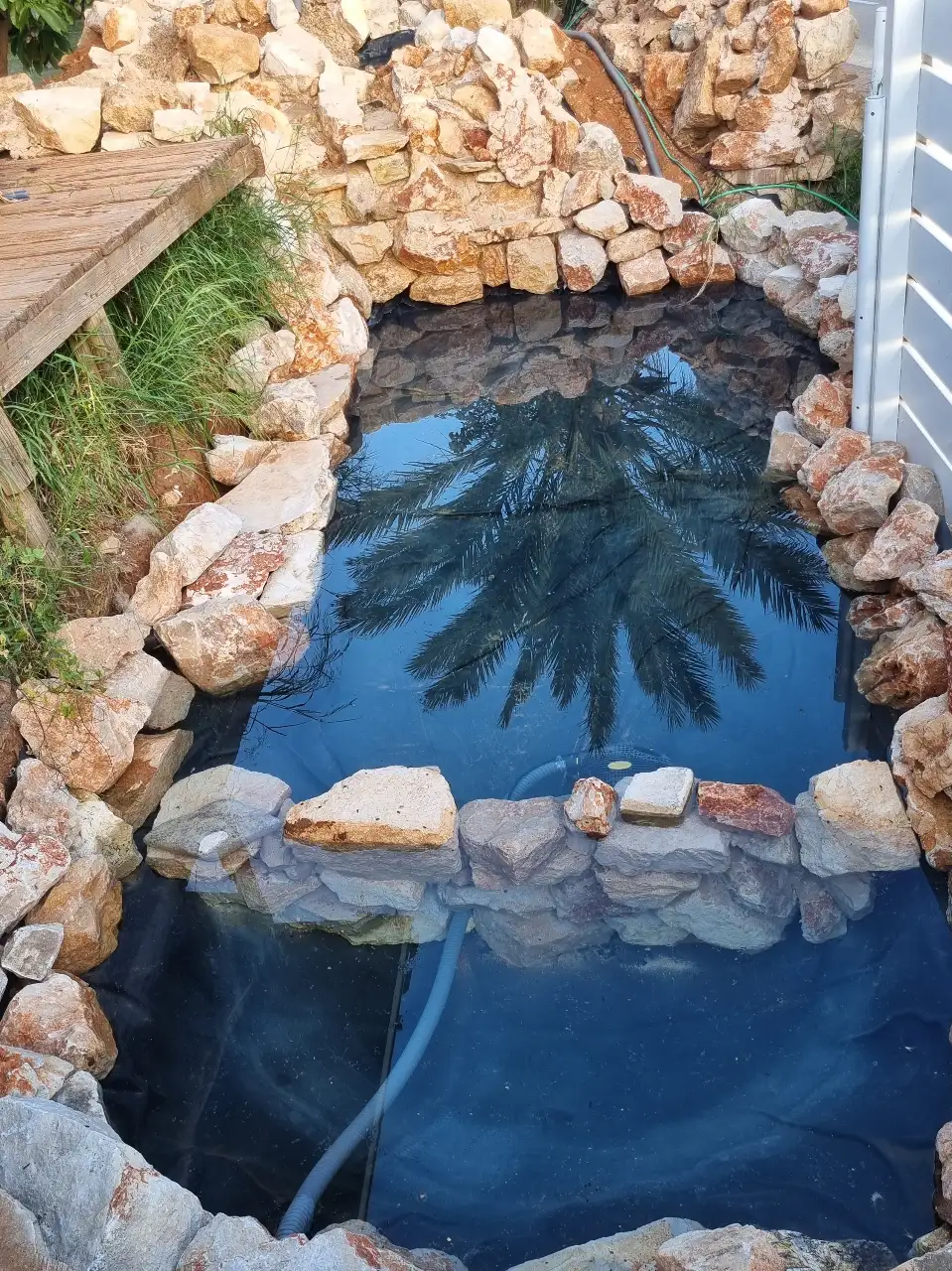 הקסם שבמים: כיצד מפל מים או בריכת נוי ישדרגו את הגינה שלכם?
