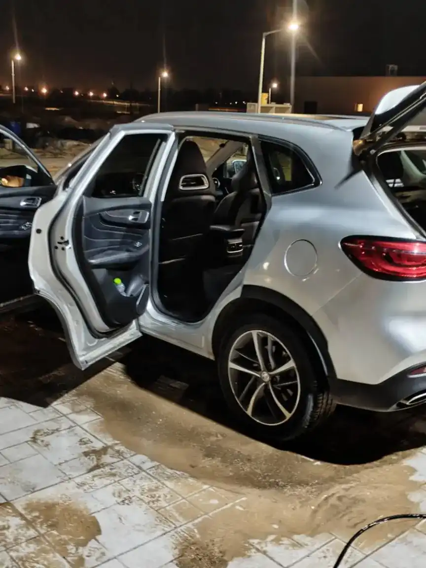 ניקוי פנימי