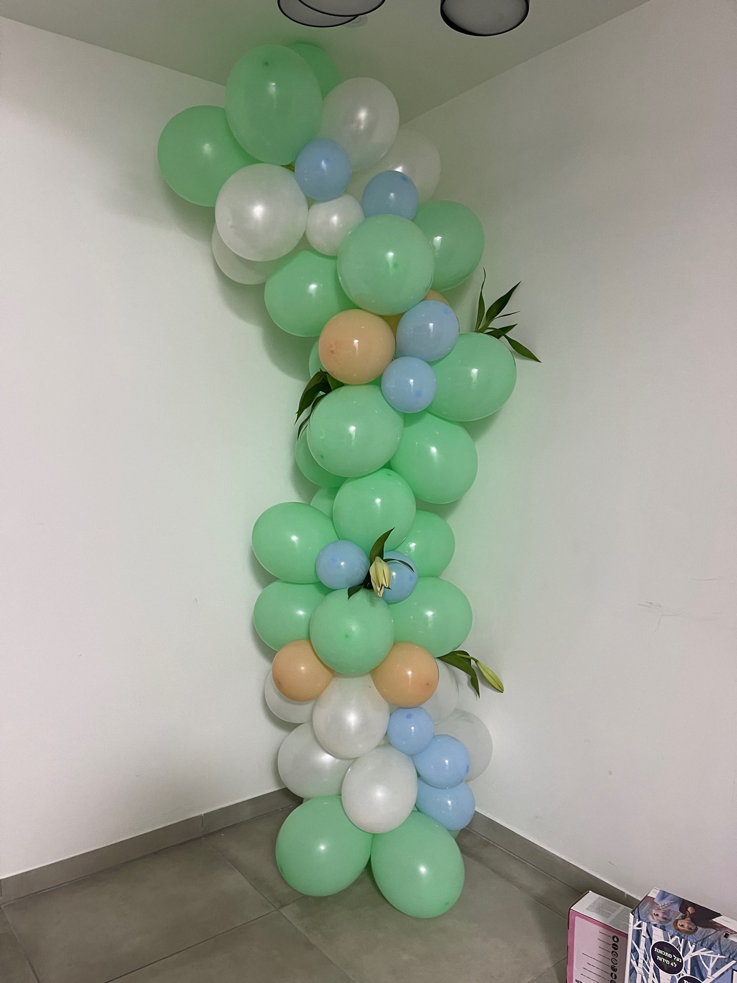 בלונים -קונספט טינקרבל 💚🧚‍♂️