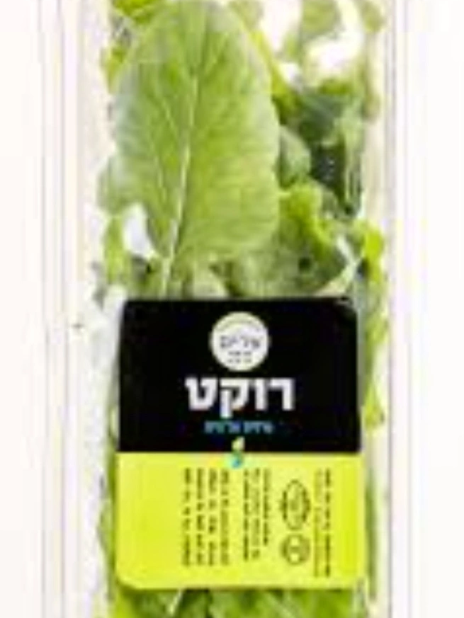 עלי רוקט