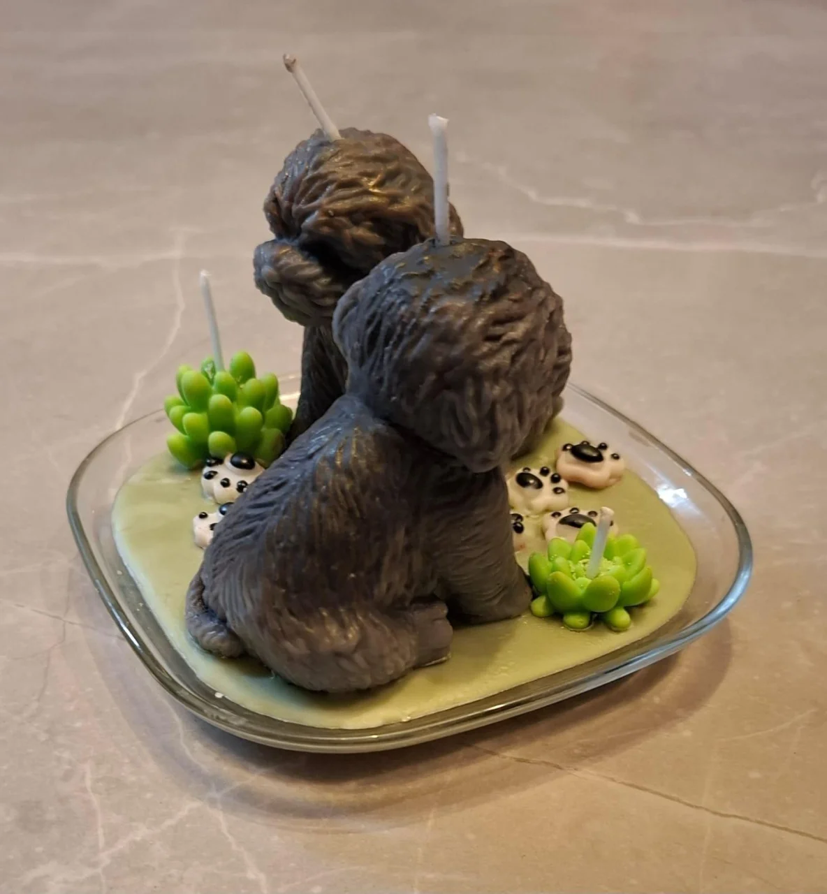 אהבה עם זנב