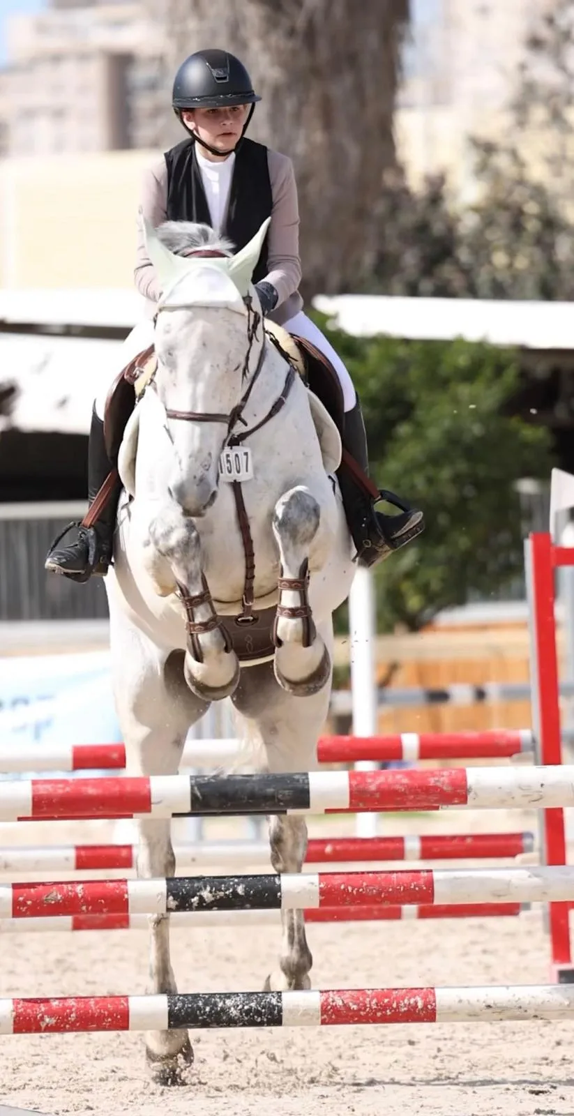 רכיבה טיפולית בעזרת סוסים