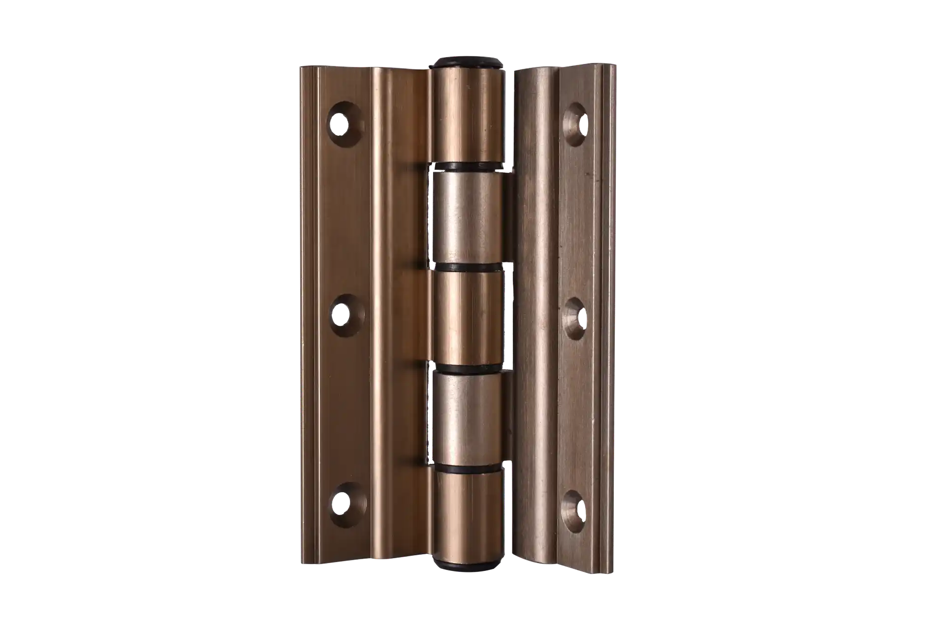 ציר דלת כניסה