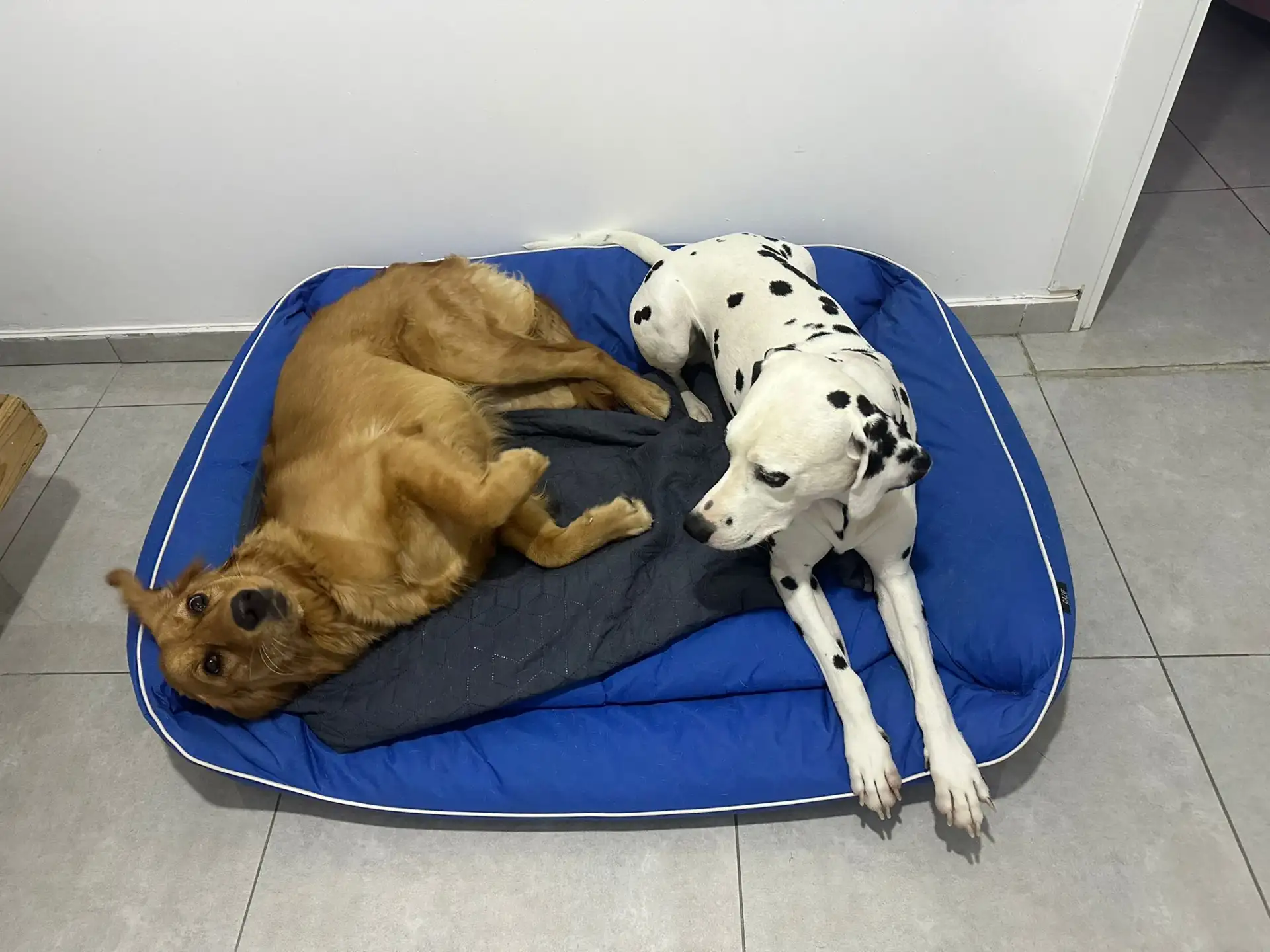 פנסיון שהות