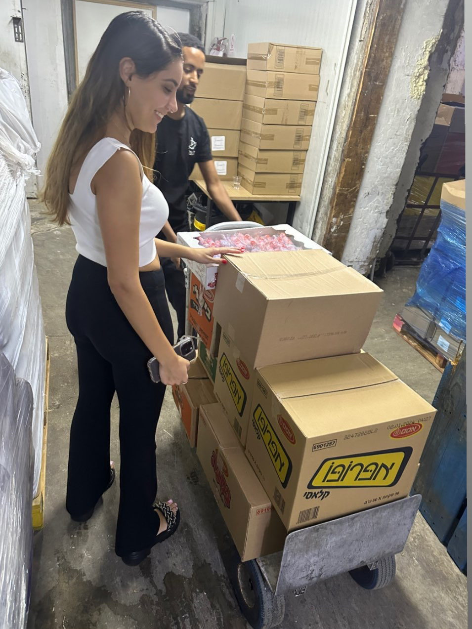 חרבות ברזל 2023