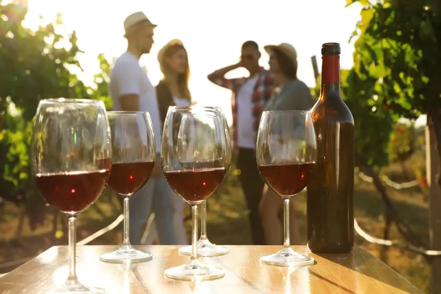 סיור טעימות ביקב