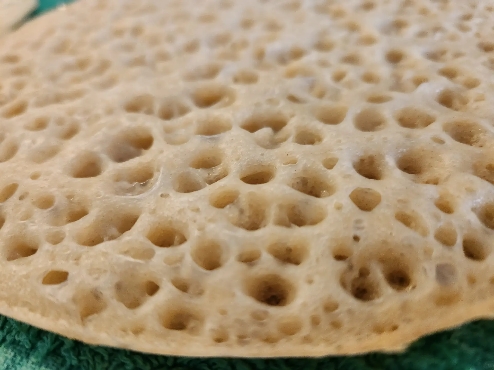 לחוח עם חילבה