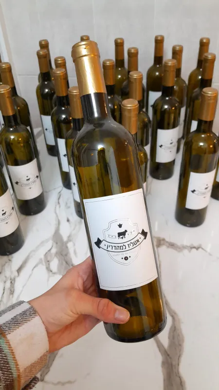 עיצוב מדבקות מיוחדות ליין