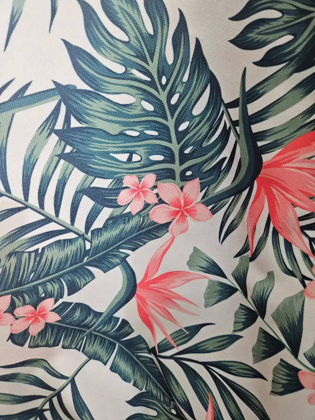 בד קאנווס דיגיטלי