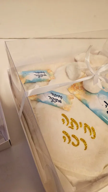 מארז טיסה חורפי