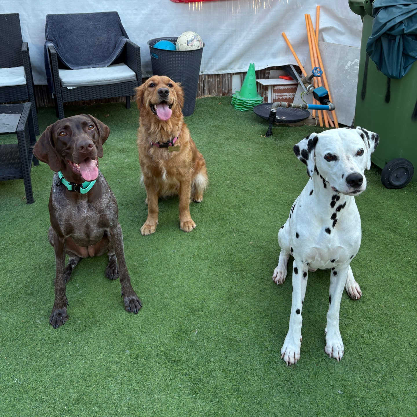 פנסיון שהות