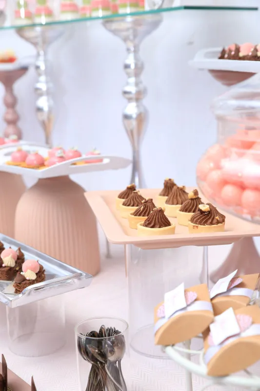 עוד מבר בת מצווה ורוד כסף