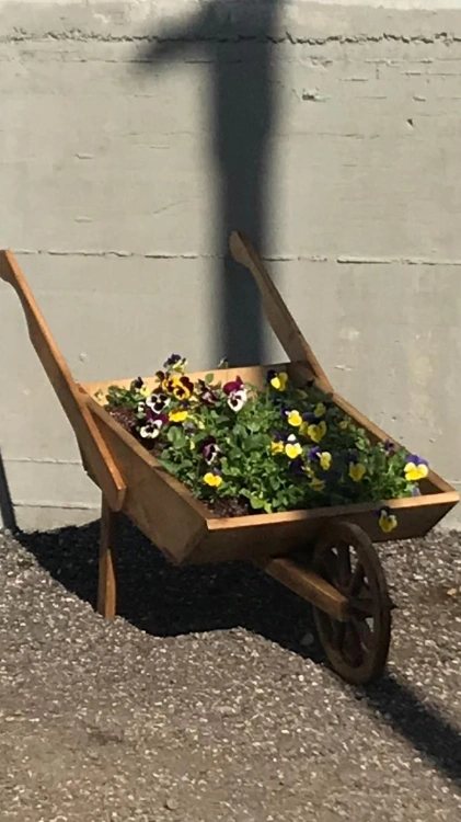 מריצה מעוצבת לנוי