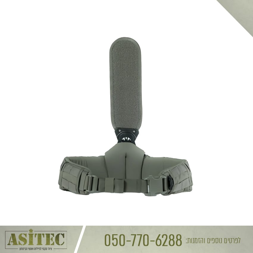 חגורת אגן מרעום דולפין