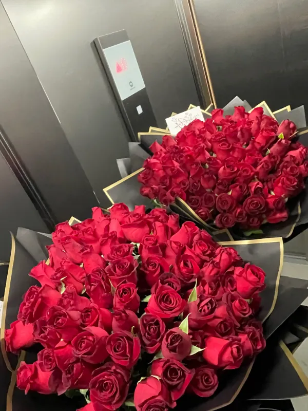 red roses 🌹