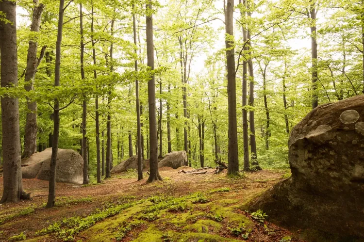 מה ההבדל בין צ’יקונג לגיל השלישי לבין פעילות גופנית רגילה?